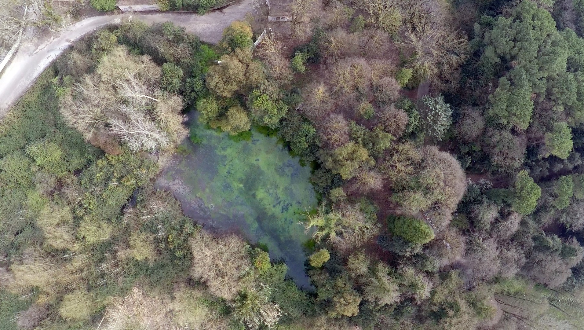 Sorgente fiume Gari - foto drone - anno 2015